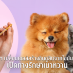 PIC_จุฬาฯ สร้างความหวังใหม่ในการรักษาโรคเบาหวานในสัตว์เลี้ยง